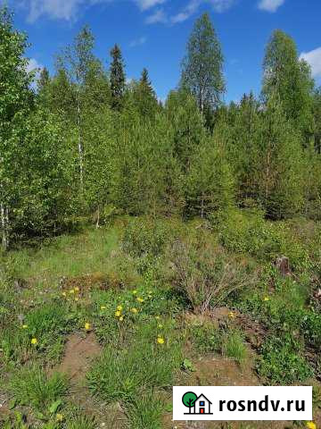 Участок СНТ, ДНП 10 сот. на продажу в Сыктывкаре Сыктывкар - изображение 1