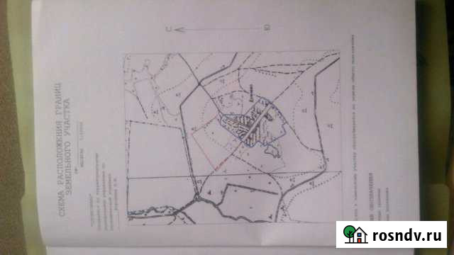 Участок СНТ, ДНП 800 сот. на продажу в Ильинско-Хованском Ильинско-Хованское - изображение 1