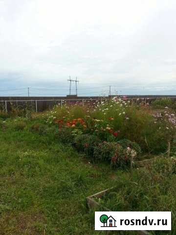 Дача 78 м² на участке 14.5 сот. на продажу в Пушкино Пушкино - изображение 1