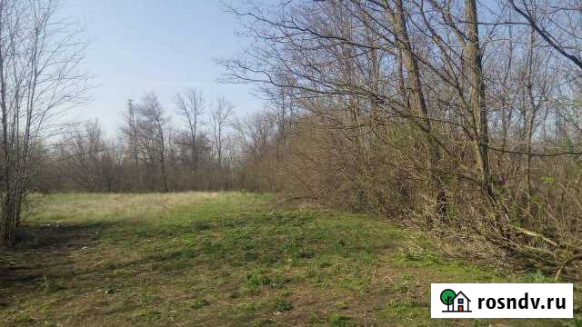 Участок ИЖС 22 сот. на продажу в Роговской Роговская - изображение 1