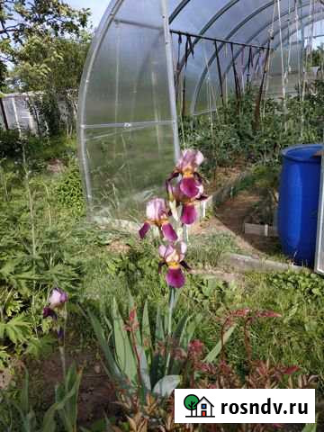 Участок СНТ, ДНП 7 сот. на продажу в Чайковском Чайковский - изображение 1