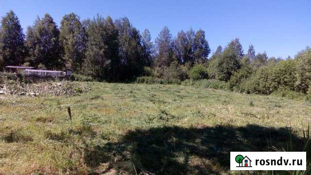 Участок СНТ, ДНП 14 сот. на продажу в Тобольске Тобольск - изображение 1