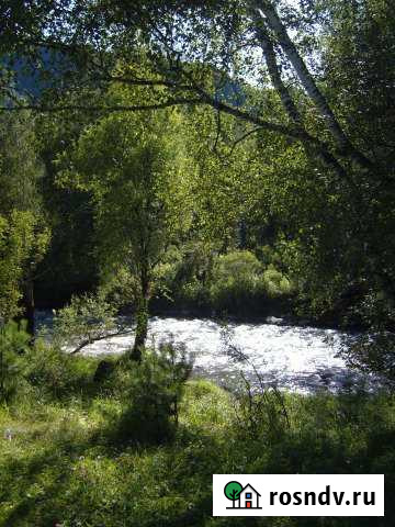 Участок СНТ, ДНП 50 сот. на продажу в Майме Республики Алтай Майма - изображение 1