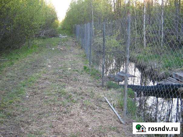 Участок СНТ, ДНП 29 сот. на продажу в Киришах Кириши - изображение 1