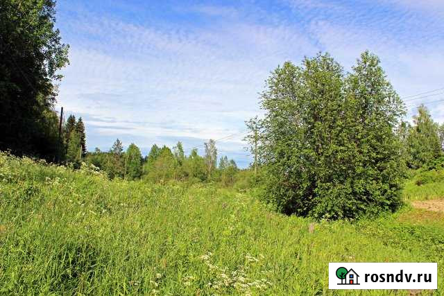 Участок ИЖС 10 сот. на продажу в Лахденпохье Лахденпохья - изображение 1