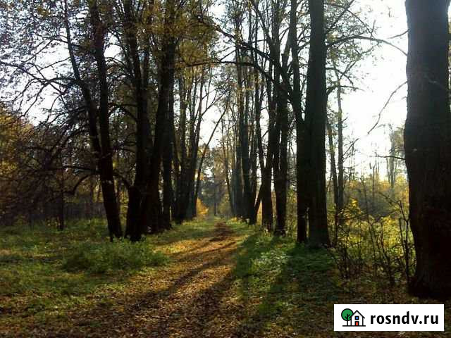 Участок ИЖС 6 сот. на продажу в Пироговском Пироговский - изображение 1