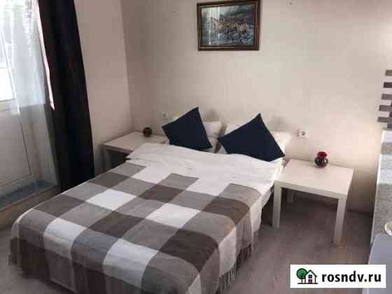 Квартира-студия, 16 м², 17/17 эт. в аренду посуточно в Видном Видное