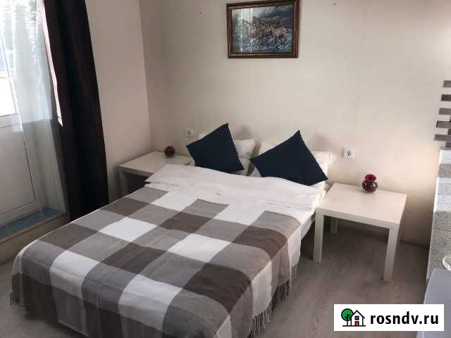 Квартира-студия, 16 м², 17/17 эт. в аренду посуточно в Видном Видное - изображение 1