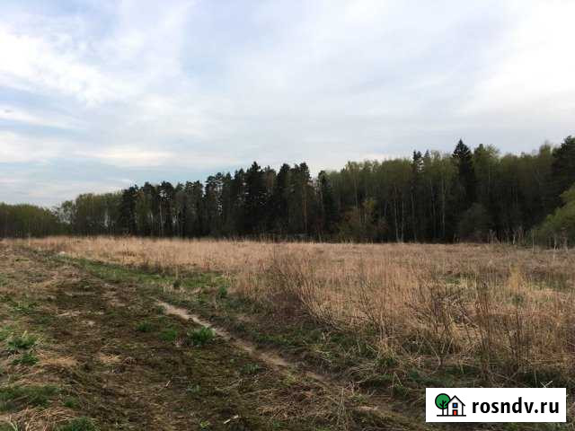 Участок ИЖС 16 сот. на продажу в Пушкино Пушкино - изображение 1