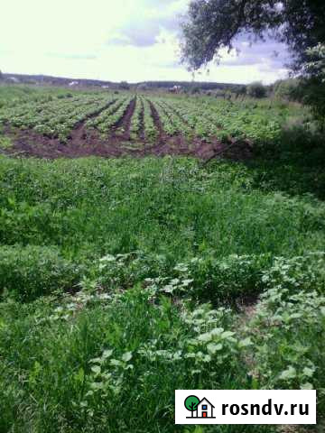 Участок ИЖС 25 сот. на продажу в Боринском Боринское - изображение 1