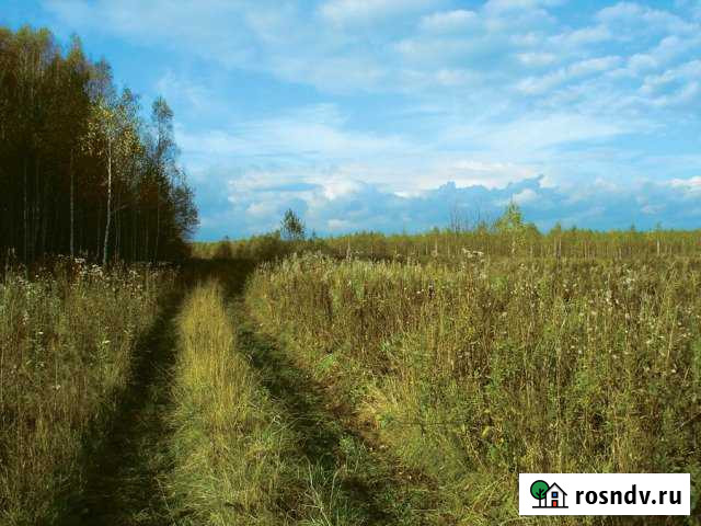 Участок ИЖС 780 сот. на продажу в Оханске Оханск - изображение 1