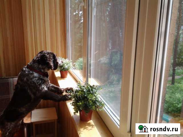 Квартира-студия, 53 м², 4/10 эт. в аренду посуточно в Чебаркуле Чебаркуль - изображение 1