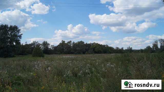 Участок ИЖС 25 сот. на продажу в Сапожке Сапожок - изображение 1