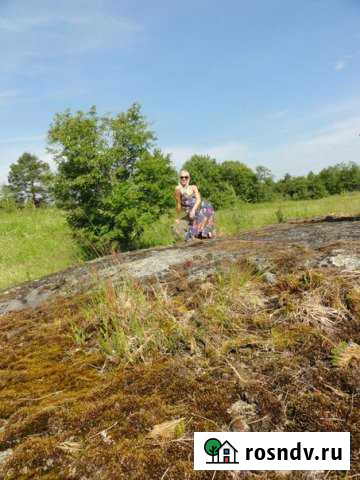 Участок СНТ, ДНП 6 сот. на продажу в Кузнечном Кузнечное - изображение 1