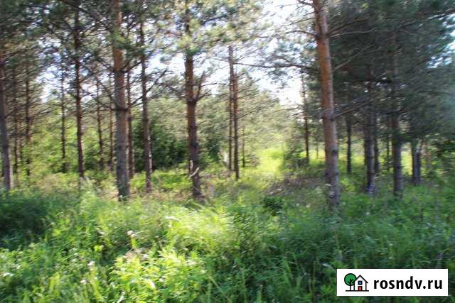 Участок СНТ, ДНП 8 сот. на продажу в Карабаново Карабаново - изображение 1