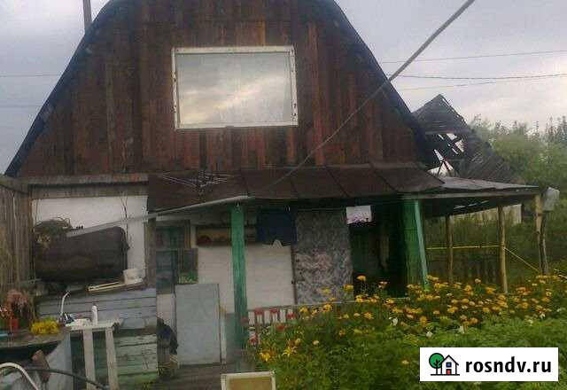 Дача 80 м² на участке 10 сот. на продажу в Новом Городке Новый Городок - изображение 1