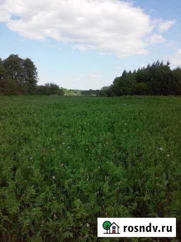 Участок СНТ, ДНП 2250 сот. на продажу в Плюссе Плюсса - изображение 1