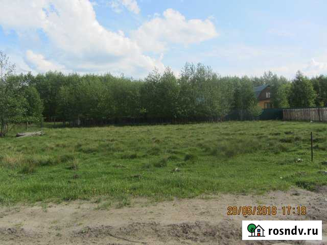 Участок ИЖС 13 сот. на продажу в Донском Тамбовской области Донское - изображение 1