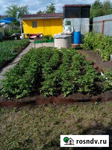 Дача 20 м² на участке 5 сот. на продажу в Копейске Копейск - изображение 1