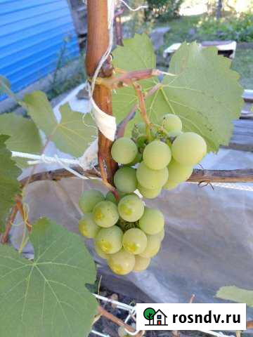 Дом 120 м² на участке 12 сот. на продажу в Озерках Озерки - изображение 1