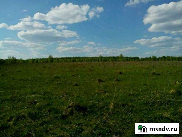 Участок СНТ, ДНП 2700 сот. в аренду в Ясногорске Тульской области Ясногорск - изображение 1