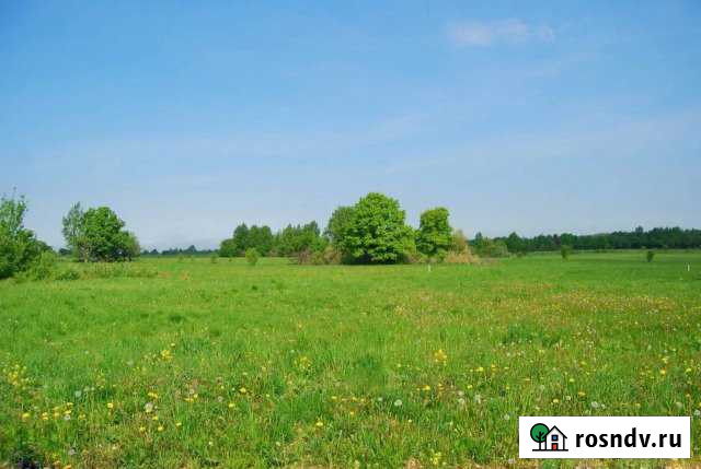 Участок СНТ, ДНП 400 сот. на продажу в Осиново Осиново - изображение 1