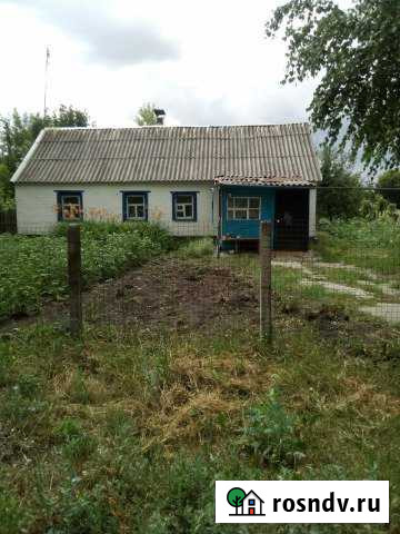 Дом 40 м² на участке 20 сот. на продажу в Плавице Плавица - изображение 1