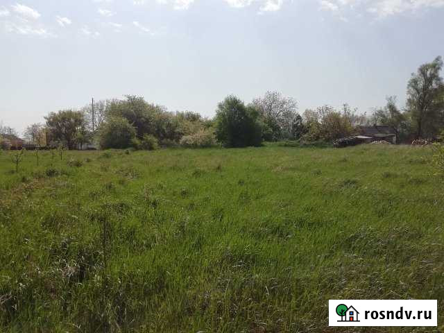 Участок ИЖС 32 сот. на продажу в Петровской Петровская - изображение 1