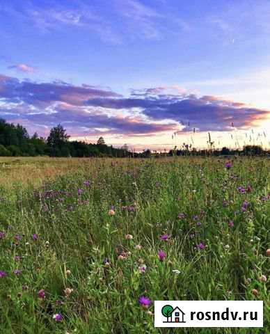 Участок СНТ, ДНП 6 сот. на продажу в Витязево Витязево - изображение 1