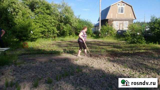 Участок СНТ, ДНП 9 сот. на продажу в Гусе-Хрустальном Гусь-Хрустальный - изображение 1