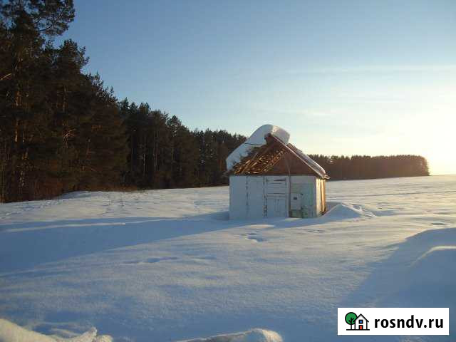 Участок СНТ, ДНП 600 сот. на продажу в Чайковском Чайковский - изображение 1