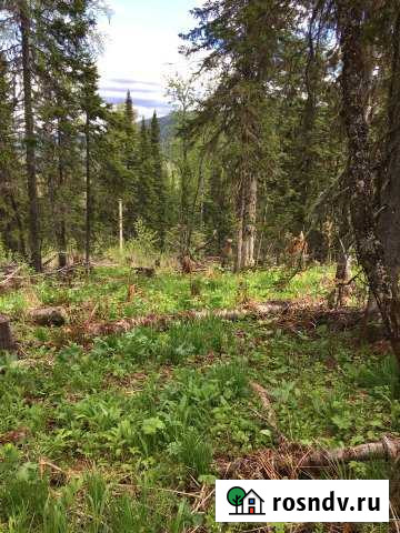 Участок ИЖС 24 сот. на продажу в Шерегеше Шерегеш - изображение 1