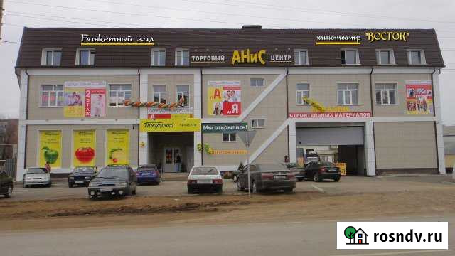 Торговый Центр Анис Икряное - изображение 1