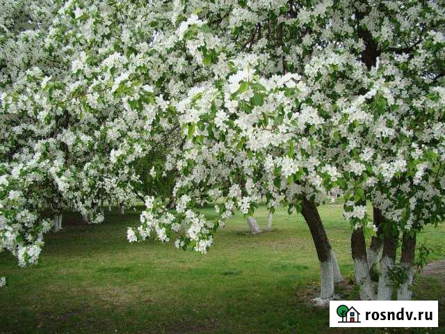 Участок ИЖС 5 сот. на продажу в Гостагаевской Гостагаевская - изображение 1