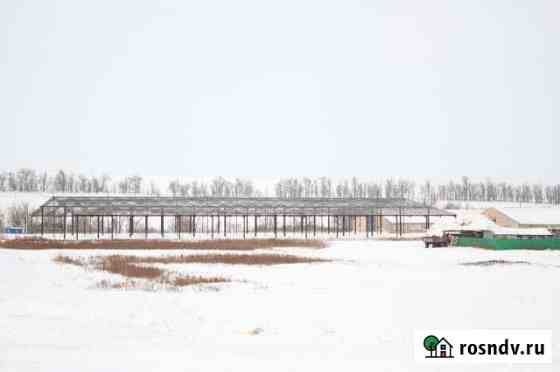 Комплекс производственно-складских зданий Большая Черниговка
