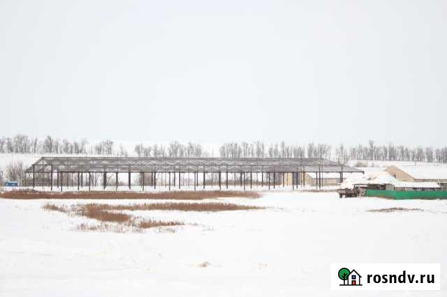 Комплекс производственно-складских зданий Большая Черниговка - изображение 1