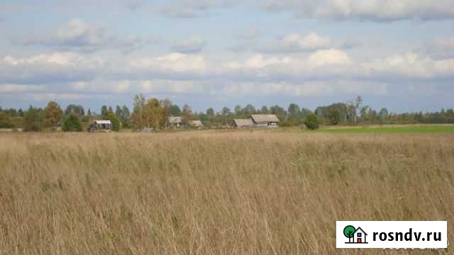 Участок СНТ, ДНП 314 сот. на продажу в Волхове Волхов - изображение 1