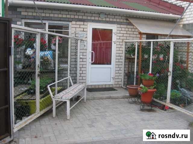 Дом 50 м² на участке 3 сот. в аренду посуточно в Бору Бор - изображение 1