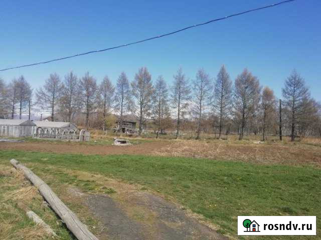 Участок ИЖС 42 сот. на продажу в Елизово Елизово - изображение 1