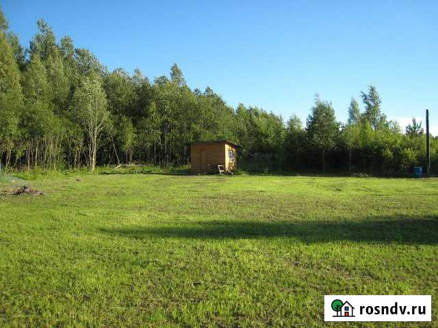 Участок СНТ, ДНП 11 сот. на продажу в Назие Назия - изображение 1