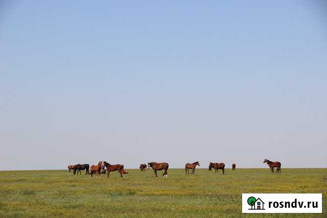 Участок СНТ, ДНП 4000 сот. на продажу в Белой Калитве Белая Калитва - изображение 1