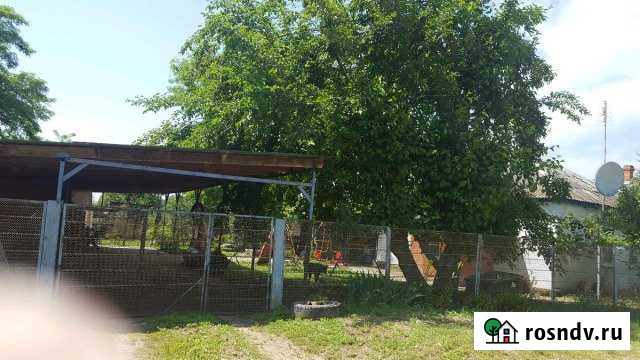 Дом 43 м² на участке 46 сот. на продажу в Рязанской Рязанская - изображение 1