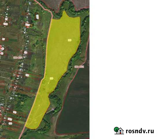 Участок СНТ, ДНП 1584 сот. на продажу в Ромоданово Ромоданово - изображение 1