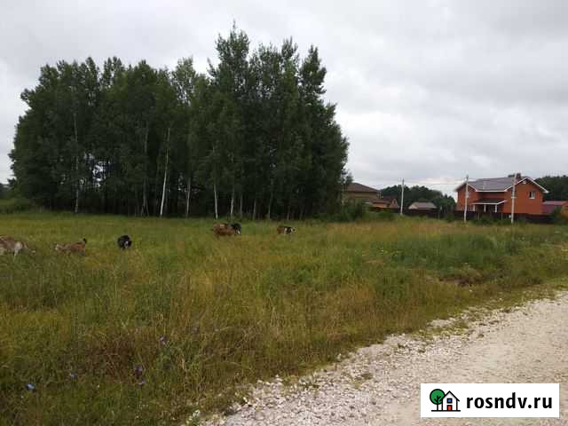 Участок ИЖС 57 сот. на продажу в Павловском Посаде Павловский Посад - изображение 1