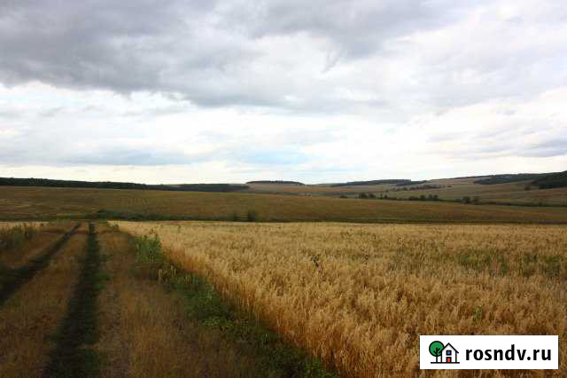 Участок СНТ, ДНП 45000 сот. на продажу в Борском Борское - изображение 1