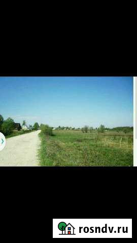 Участок ИЖС 30 сот. на продажу в Костерево Костерево - изображение 1
