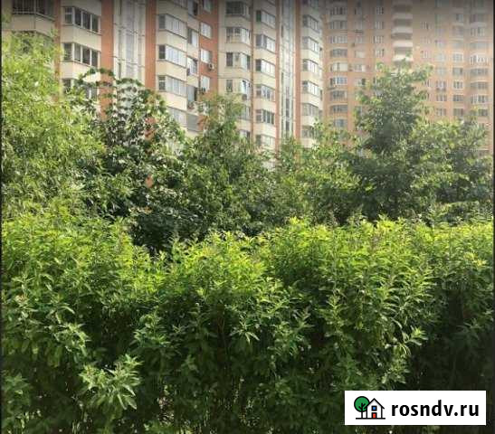 Квартира-студия, 19 м², 2/25 эт. на продажу в Красногорске Московской области Красногорск - изображение 1