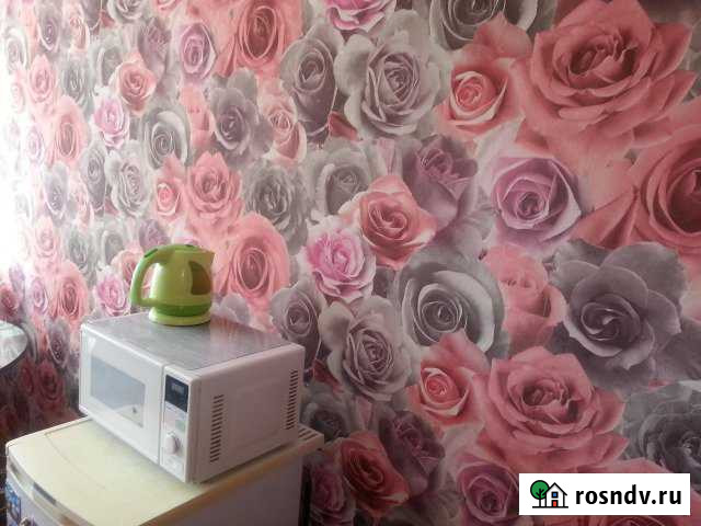 Комната 17 м² в 1-ком. кв., 3/5 эт. в аренду посуточно в Сыктывкаре Сыктывкар - изображение 1