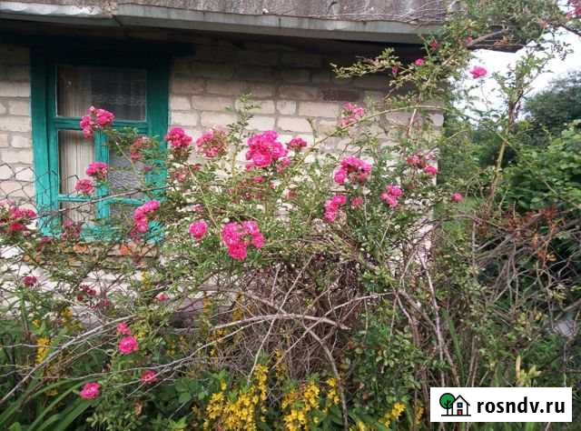 Дача 25 м² на участке 5 сот. на продажу в Железногорске Курской области Железногорск - изображение 1