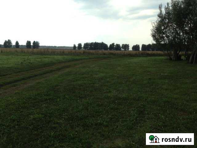 Участок ИЖС 33 сот. на продажу в Сараях Сараи - изображение 1